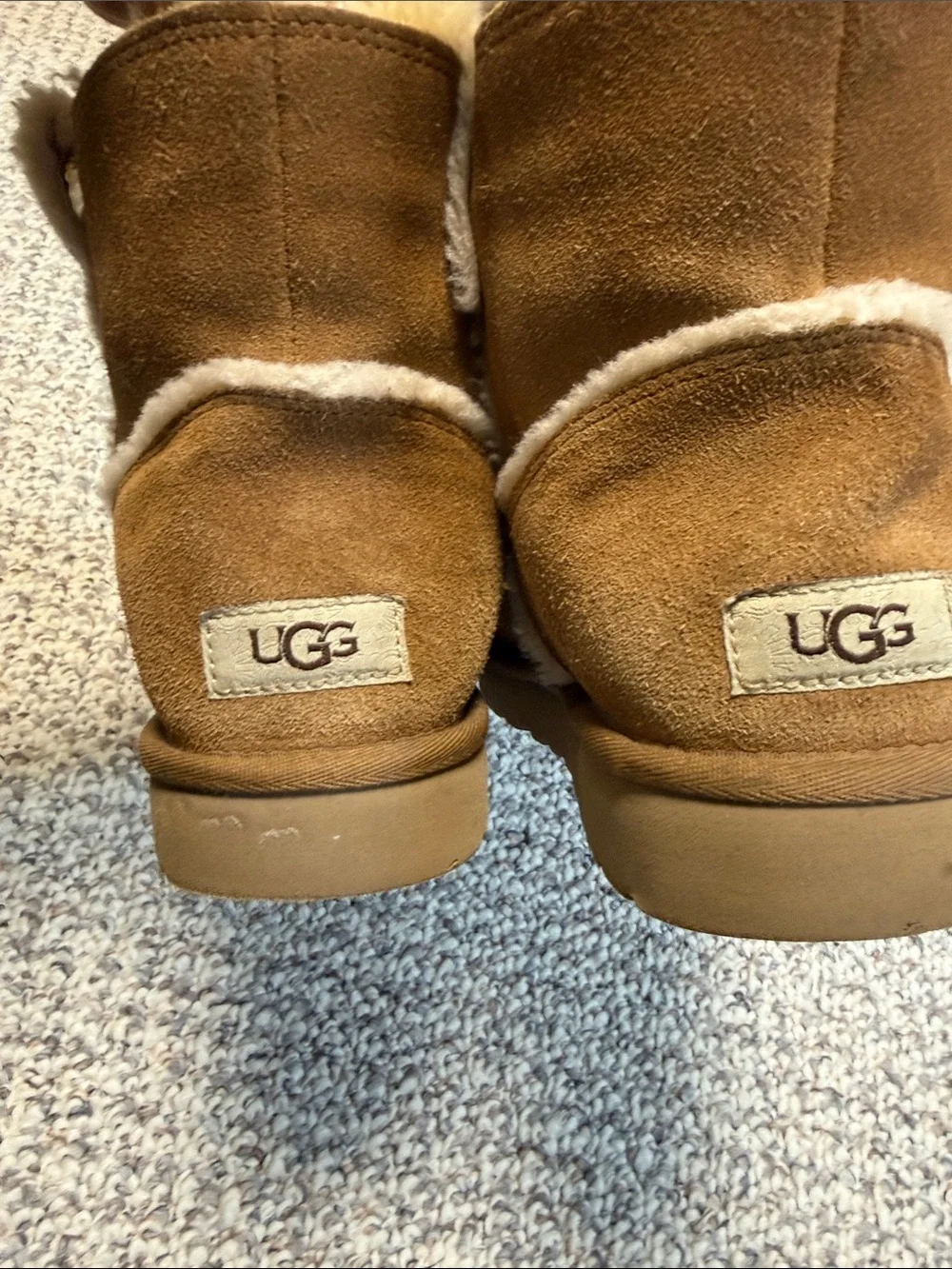 Ugg Cozy Suede Shearling Lined Ankle Boots - Chestnut
